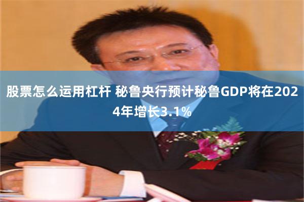 股票怎么运用杠杆 秘鲁央行预计秘鲁GDP将在2024年增长3.1%