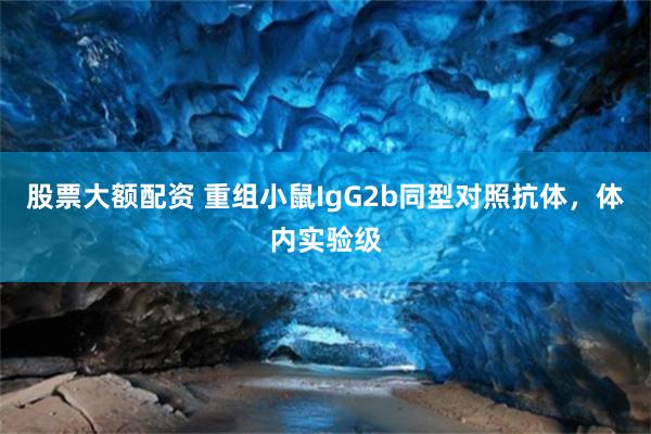 股票大额配资 重组小鼠IgG2b同型对照抗体，体内实验级