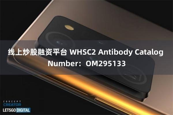 线上炒股融资平台 WHSC2 Antibody Catalog Number：OM295133