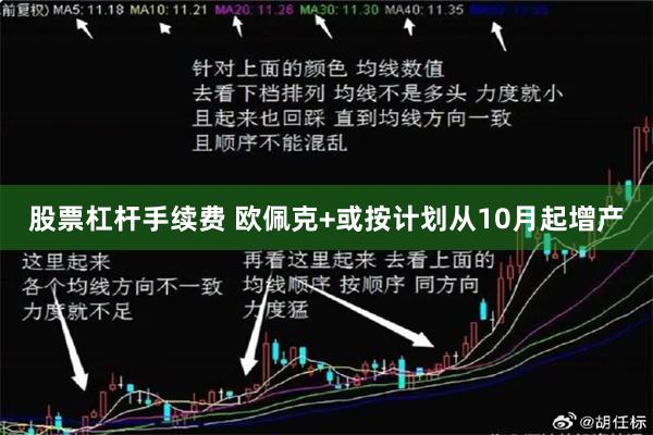 股票杠杆手续费 欧佩克+或按计划从10月起增产