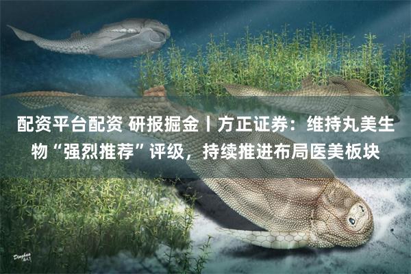 配资平台配资 研报掘金丨方正证券：维持丸美生物“强烈推荐”评级，持续推进布局医美板块