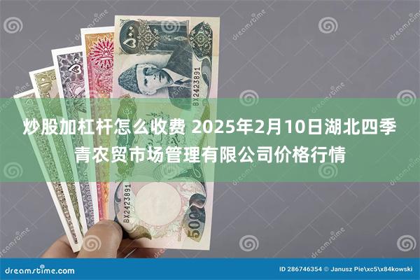 炒股加杠杆怎么收费 2025年2月10日湖北四季青农贸市场管理有限公司价格行情