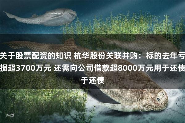 关于股票配资的知识 杭华股份关联并购：标的去年亏损超3700万元 还需向公司借款超8000万元用于还债