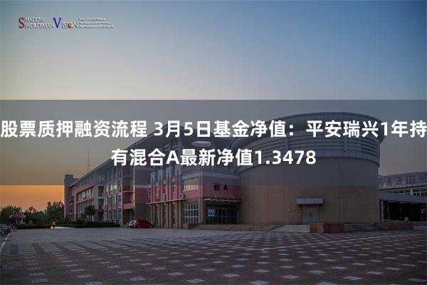 股票质押融资流程 3月5日基金净值：平安瑞兴1年持有混合A最新净值1.3478