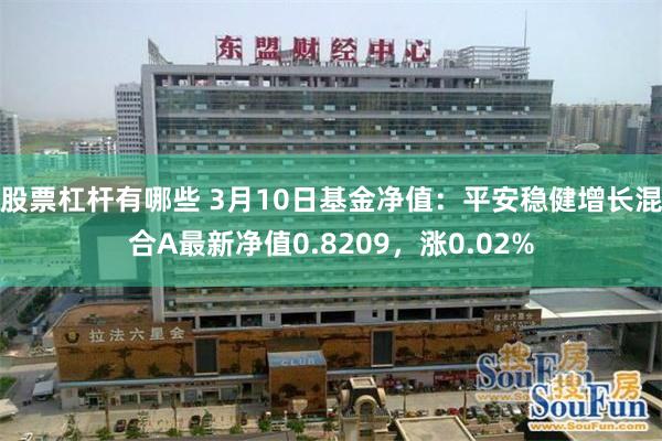 股票杠杆有哪些 3月10日基金净值：平安稳健增长混合A最新净值0.8209，涨0.02%